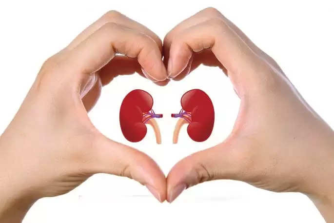 Use these things to keep kidneys healthy, kidney will always be healthy