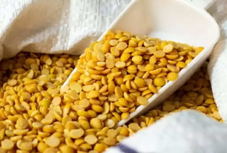 HEALTH TIPS : Advice : Consuming these five types of pulses gives a lot of benefits, must be included in the diet