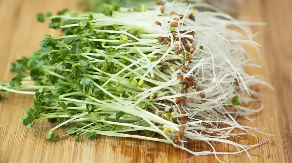 Sprouts Benefits: From weight loss to hair growth, here are 6 great benefits  of eating 'sprouts'