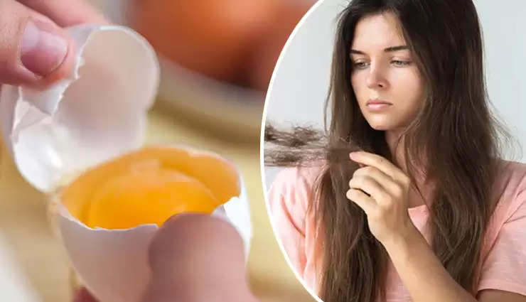 Hair Care Tips: These hair packs made of eggs will help to overcome the  problem of hair fall, learn and try..