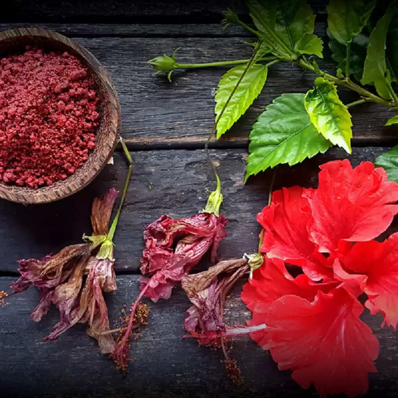 Hair Care Tips: Hibiscus has a cure for strengthening the hair from the  roots, there will be many benefits...