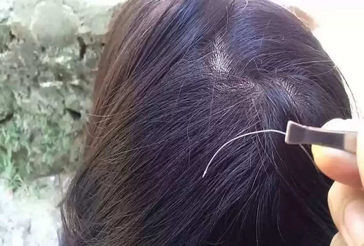 Do not forget to break after seeing white hair for the first time, you  should do this work immediately