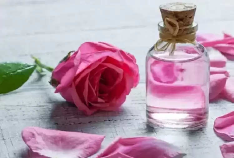 Beauty Tips: Rose water is very beneficial for hair, you will be surprised  to know its benefits