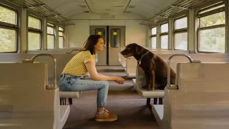 Travel With Pets : If you want to travel by train with your pets, know these important rules