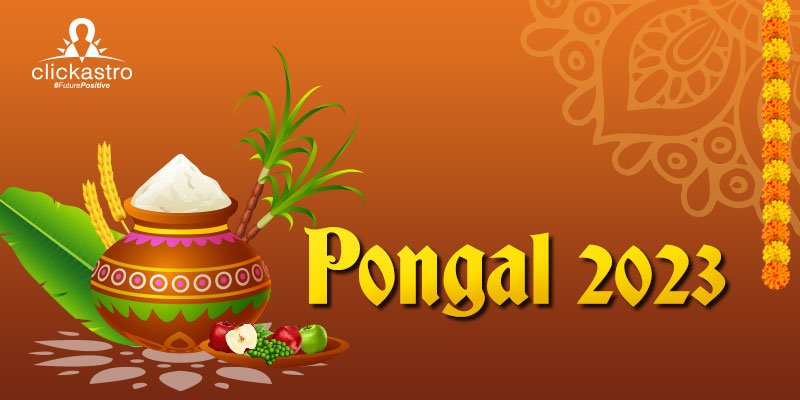 Pongal 2023: When is Pongal in the year 2023? This four-day unique festival  is associated with the Sun, Know more...