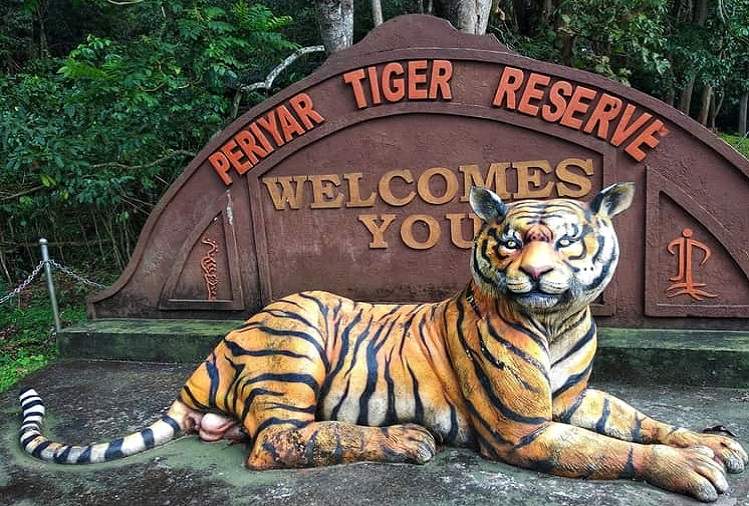 Travel Tips: You will get to see spectacular views of tigers in these tiger  reserves of the country, make a plan to visit